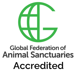 GFAS Accredited logo