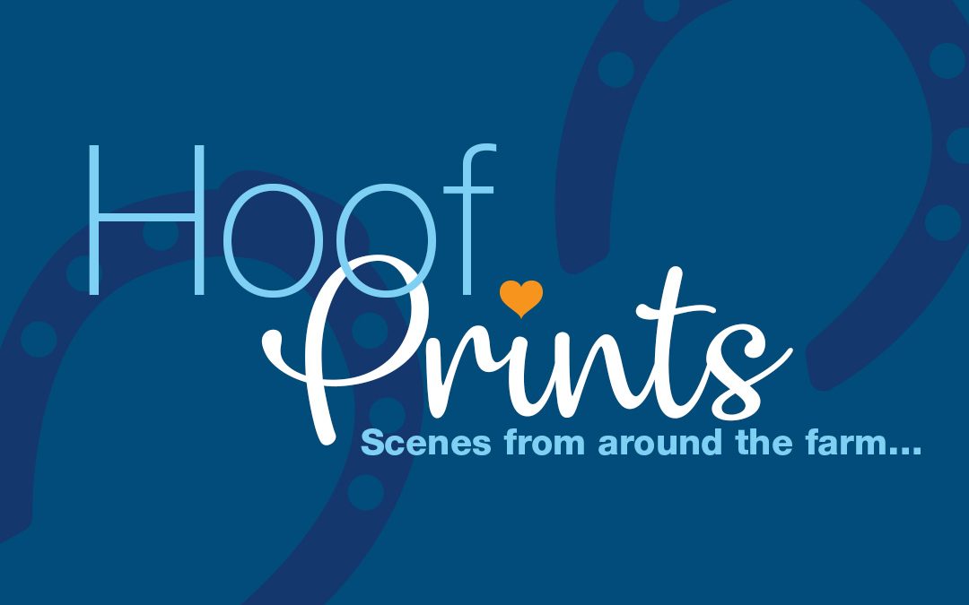 Welcome to HoofPrints… (Vol 1. February 2024)