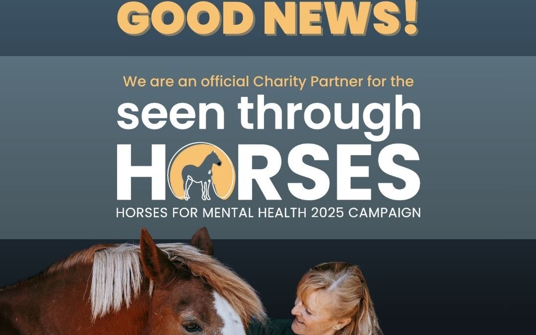 Exciting Announcement: Therapeutic Horses of Saratoga Selected as Charity Partner for National “Seen Through Horses” Campaign