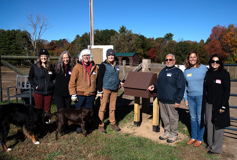 A Spark of Connection Brings Community Together at Therapeutic Horses of Saratoga’s “Brush Box” Ribbon Cutting (RECAP)