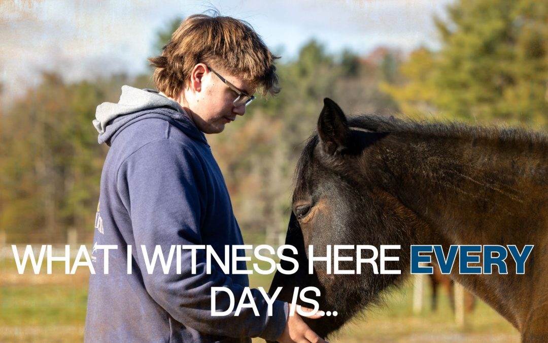 What I Witness Here Every Day Is…