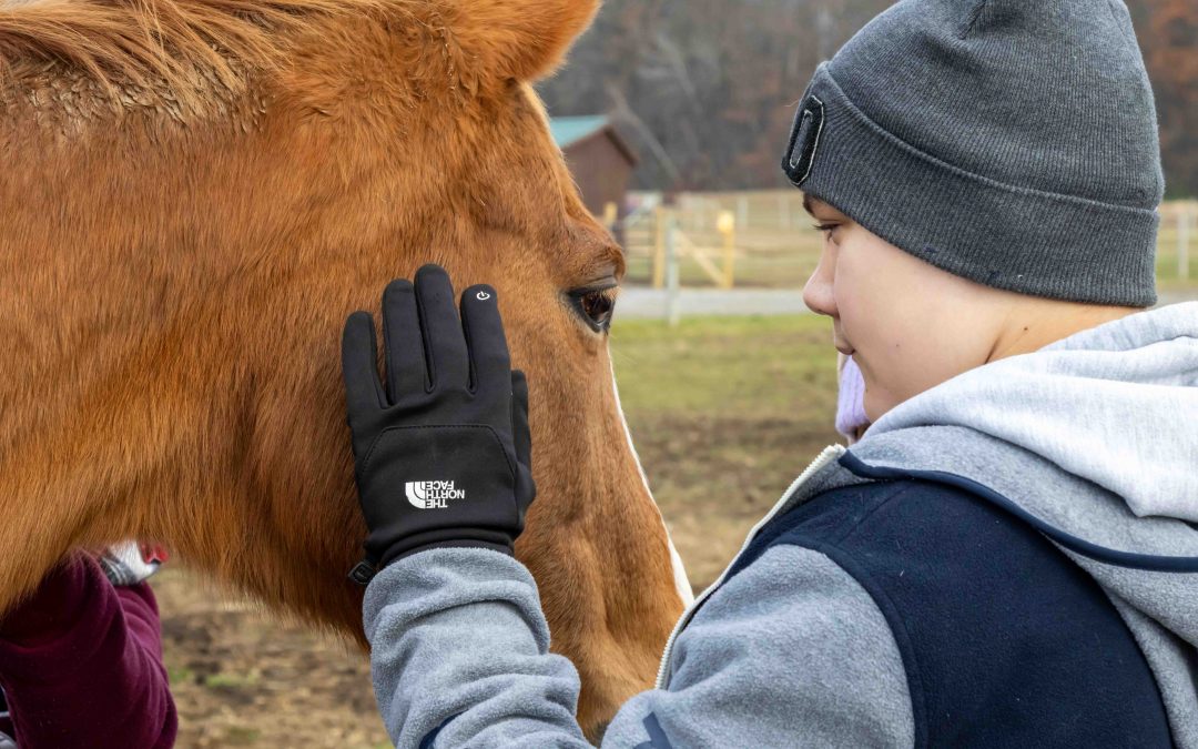 The Dake Foundation for Children Partners with Therapeutic Horses of Saratoga to Fund Equine-Assisted Psychotherapy for Local Youth