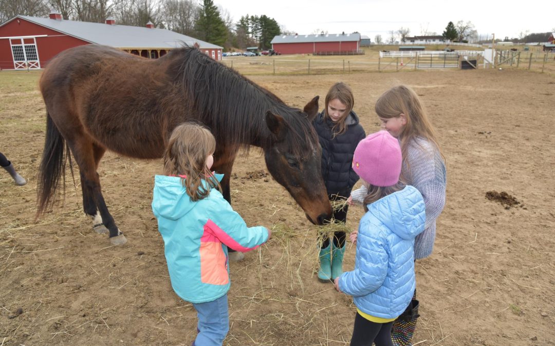 CAPTAIN Community Human Services Receives $4,000 Grant from GlobalFoundries/Town of Malta Foundation to Support Equine-Assisted Psychotherapy for Youth